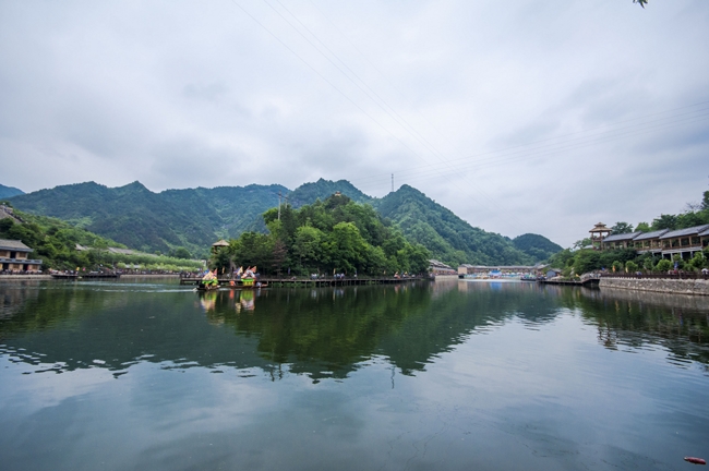 _DSC0101